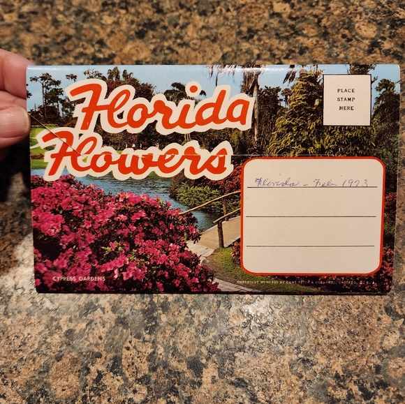 Postcard Set, Vintage, Florida Flowers - Picture 2 of 6